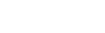 Paulin Logo